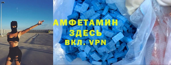 гидра Няндома