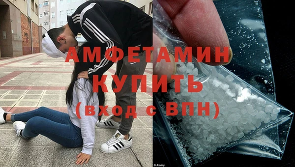 гидра Няндома
