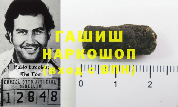 гидра Няндома