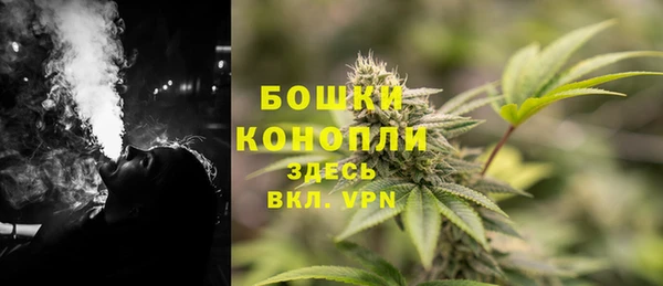 гидра Няндома