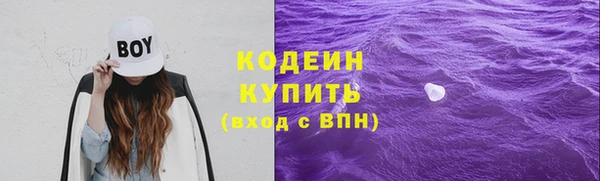 гидра Няндома