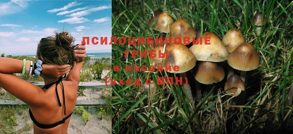 эйфоретик Нязепетровск