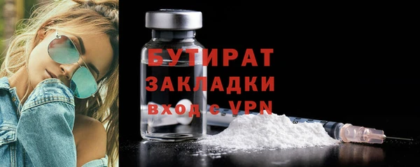 гидра Няндома