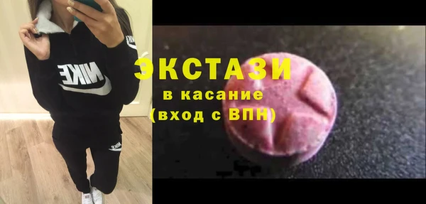 гидра Няндома