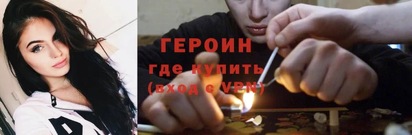 гидра Няндома