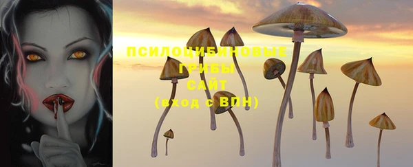 мяу мяу мука Нягань