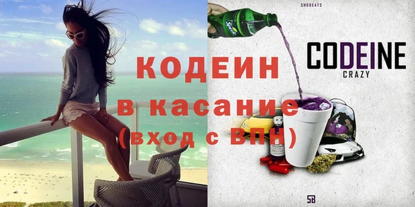 гидра Няндома