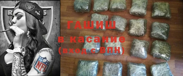 гидра Няндома