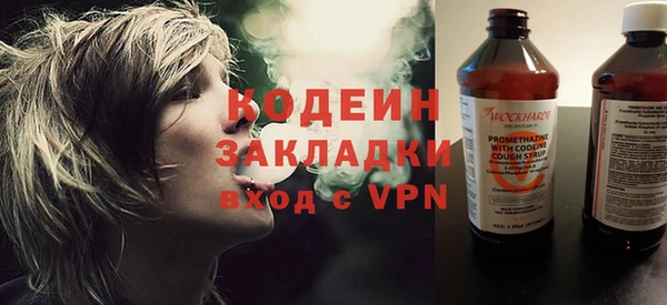 гидра Няндома