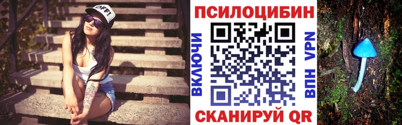 цены Шлиссельбург Галлюциногенные грибы мицелий